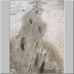 102_6151 (2013-08-07)m.JPG